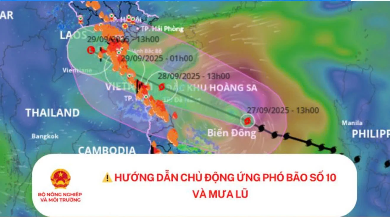Hướng dẫn chủ động ứng phó bão số 10 và mưa lũ