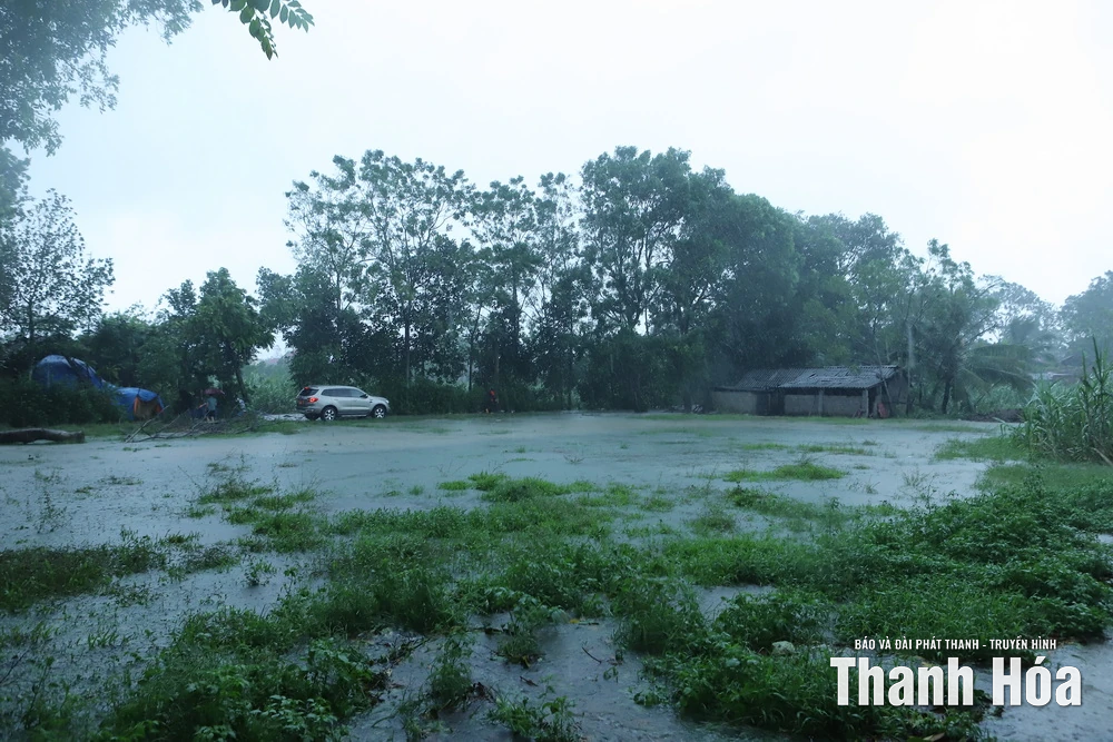 Bí thư Tỉnh ủy Nguyễn Doãn Anh: Chủ động di dời dân vùng trũng thấp đến nơi an toàn khi nước sông Chu dâng cao