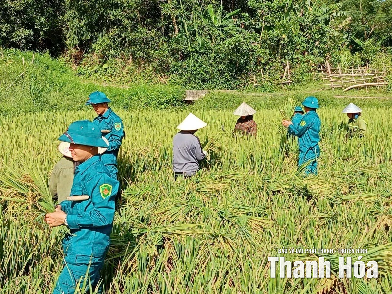 Các cấp Hội Phụ nữ tích cực hỗ trợ chống bão số 10