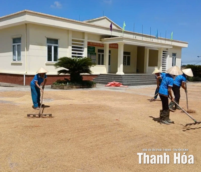 Cán bộ, hội viên phụ nữ hỗ trợ tái thiết sản xuất, ổn định cuộc sống sau bão số 10