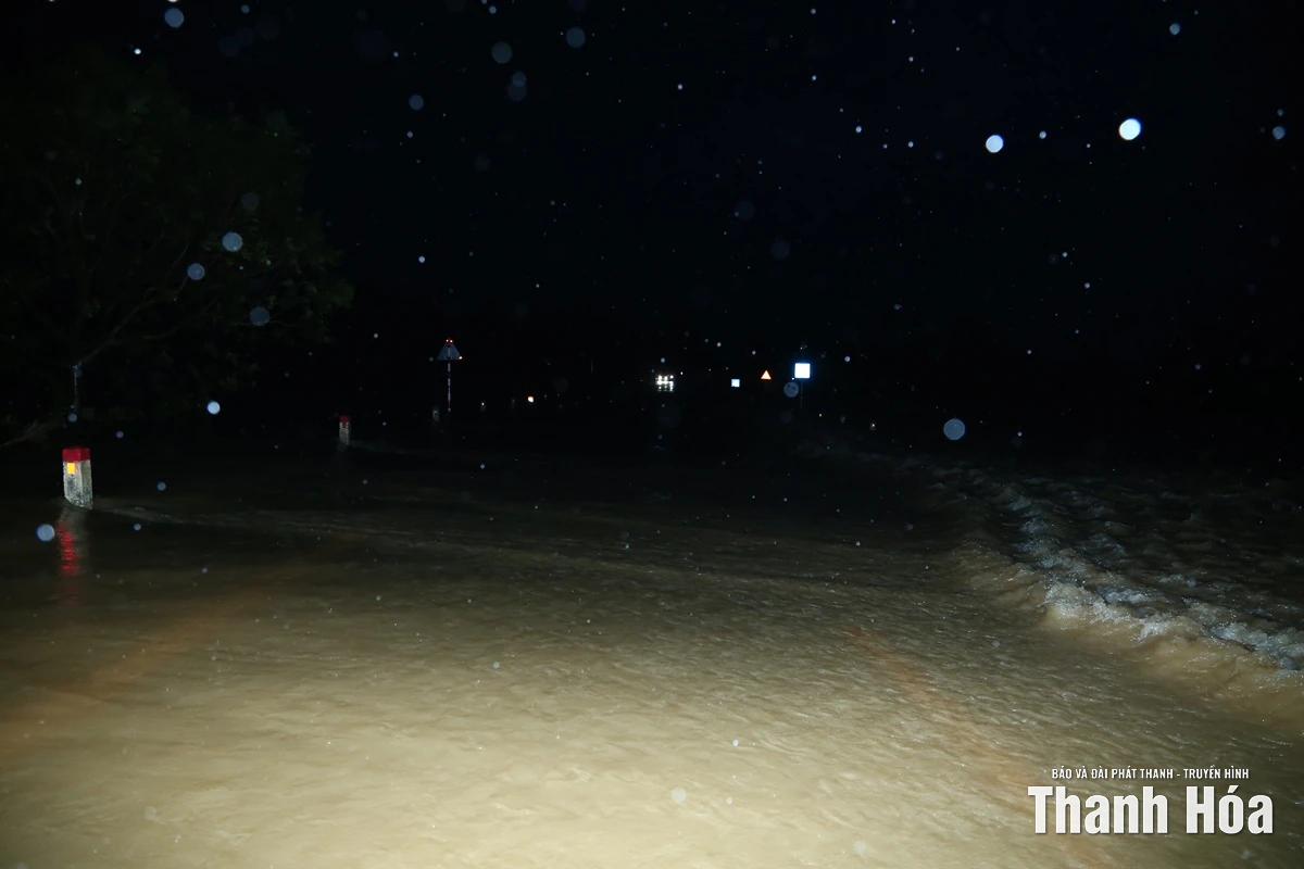 Khẩn trương khắc phục sự cố vỡ đê hữu sông Thị Long