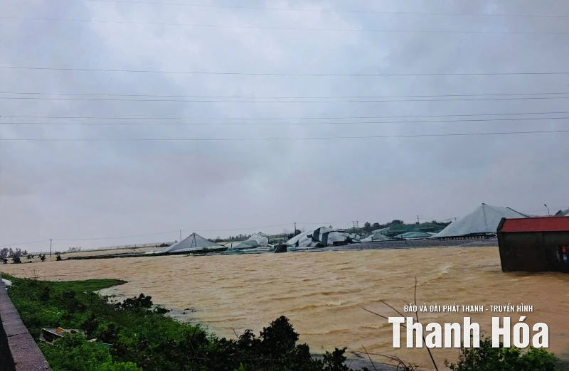 Mưa lớn kéo dài gây nhiều thiệt hại, các địa phương khẩn trương khắc phục