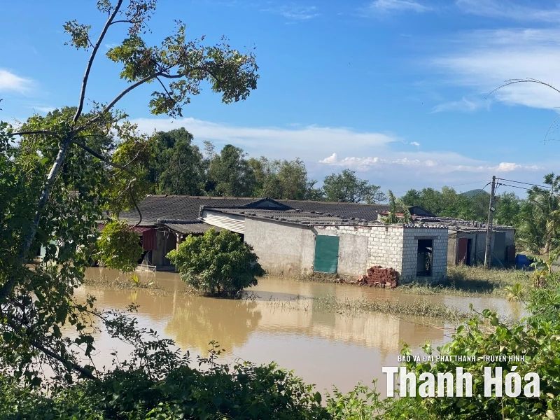 Nước dâng đến đâu, vịt chết đến đó... - Cả gia tài bị cuốn đi trong chớp mắt