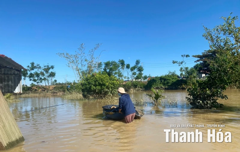 Nước dâng đến đâu, vịt chết đến đó... - Cả gia tài bị cuốn đi trong chớp mắt