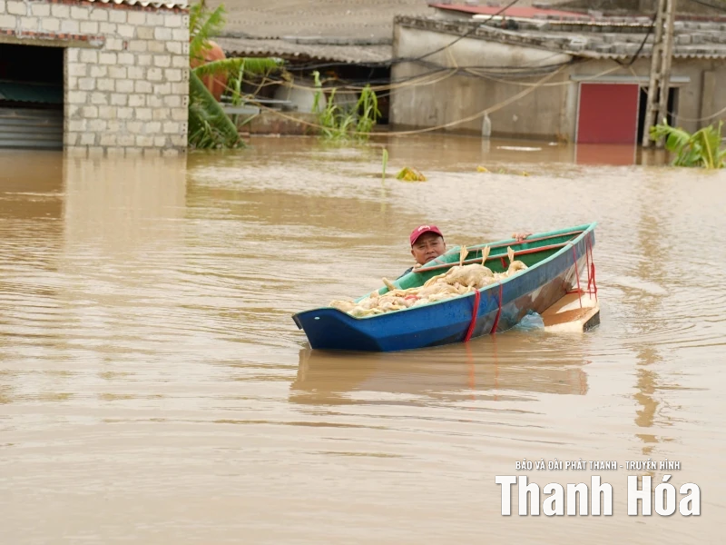 Nước dâng đến đâu, vịt chết đến đó... - Cả gia tài bị cuốn đi trong chớp mắt