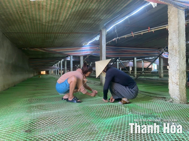 Nước dâng đến đâu, vịt chết đến đó... - Cả gia tài bị cuốn đi trong chớp mắt