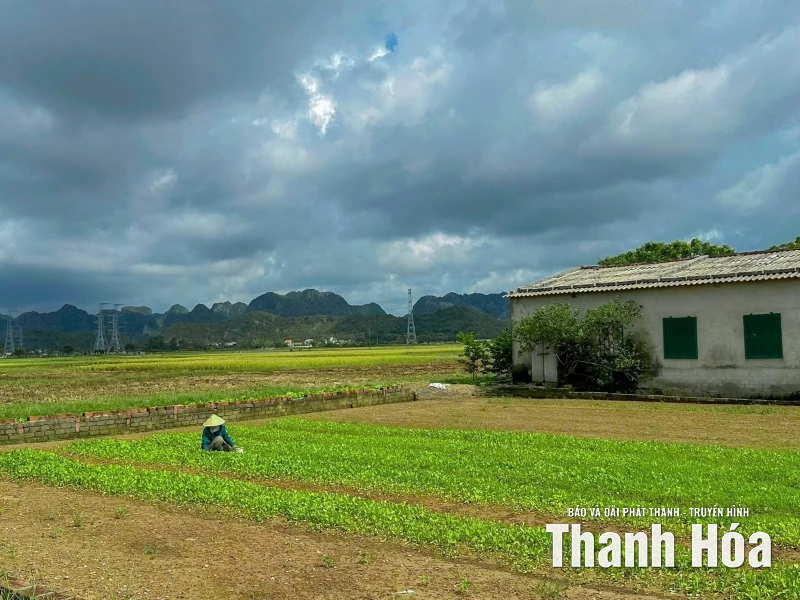 Khôi phục “nhịp sản xuất” nông nghiệp