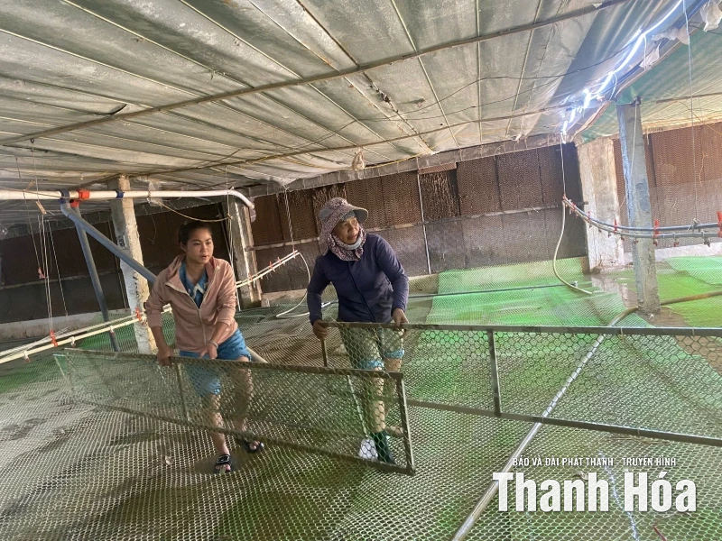 Khôi phục “nhịp sản xuất” nông nghiệp