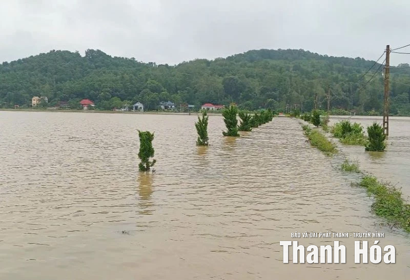 Hàng trăm hộ dân thôn Tiên Nông (xã Định Hòa) bị cô lập