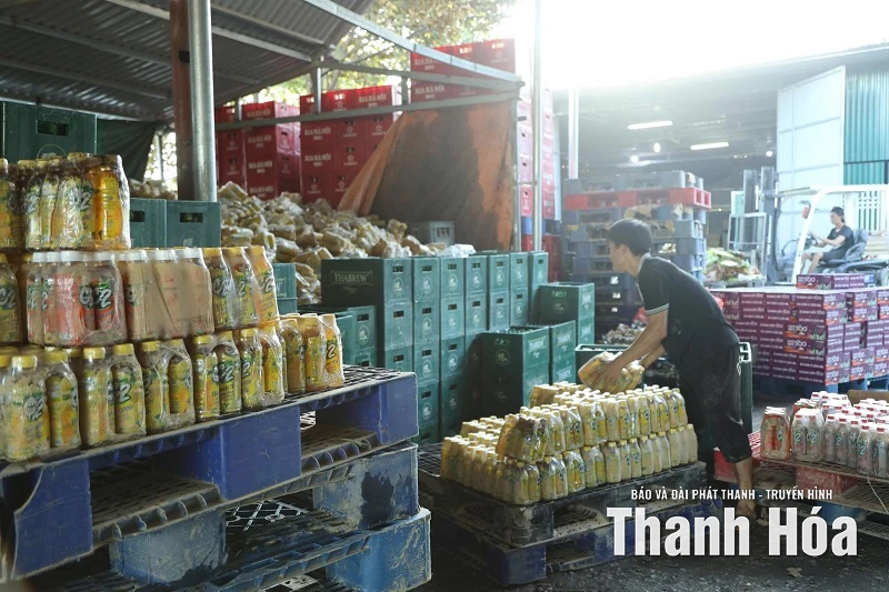 Sau thiên tai, khẩn trương khôi phục nhịp sống kinh doanh