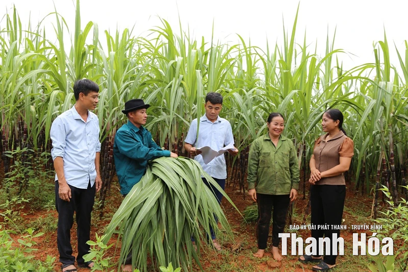 Cầu nối thông tin giữa Đảng với dân