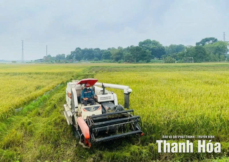 Đẩy mạnh cơ giới hóa trong sản xuất nông nghiệp