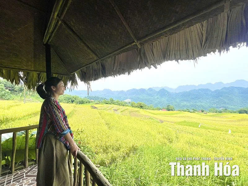 Mùa vàng Pù Luông: Từ “cảnh đẹp để ngắm” sang “trải nghiệm để nhớ”