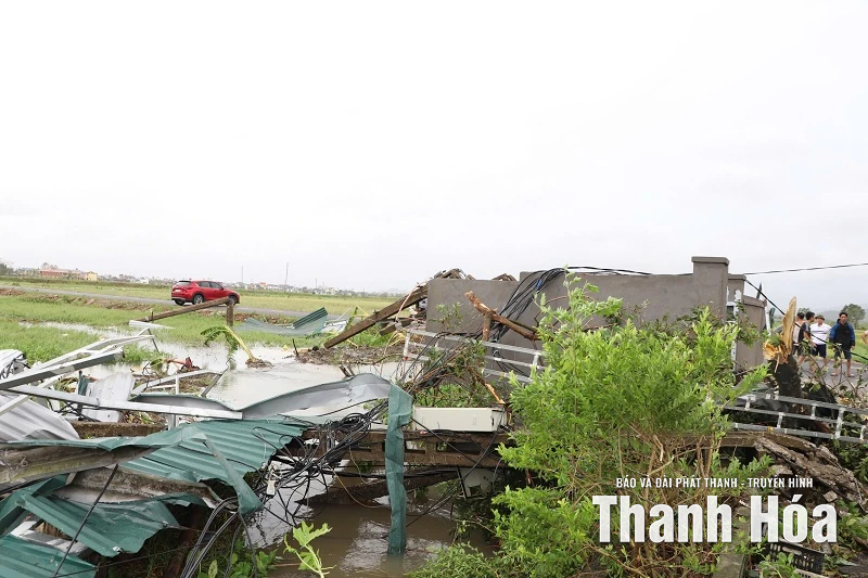 Huy động nhân lực, thiết bị, bảo đảm nguồn điện ổn định cho người dân sau thiên tai