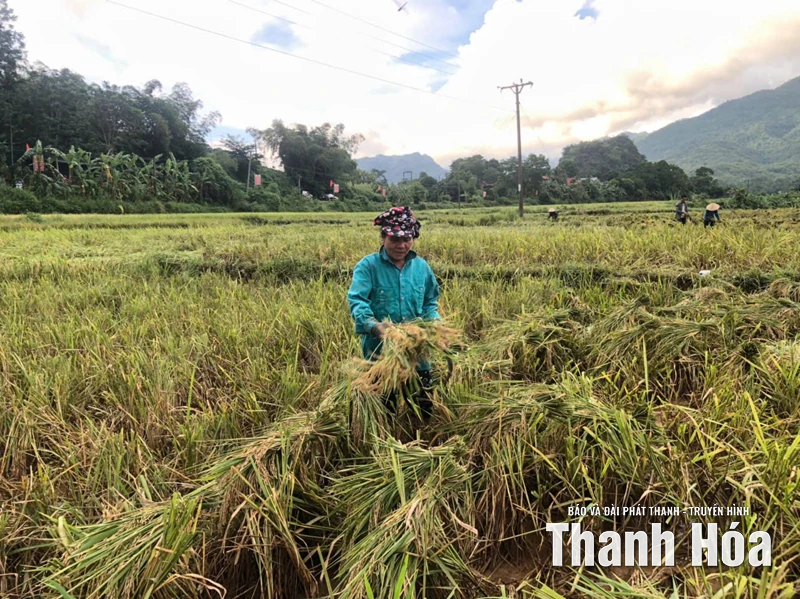 Xã Bá Thước khắc phục hậu quả bão số 10