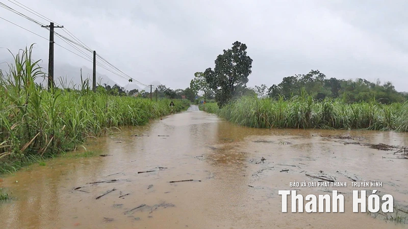 Xã Bá Thước khắc phục hậu quả bão số 10