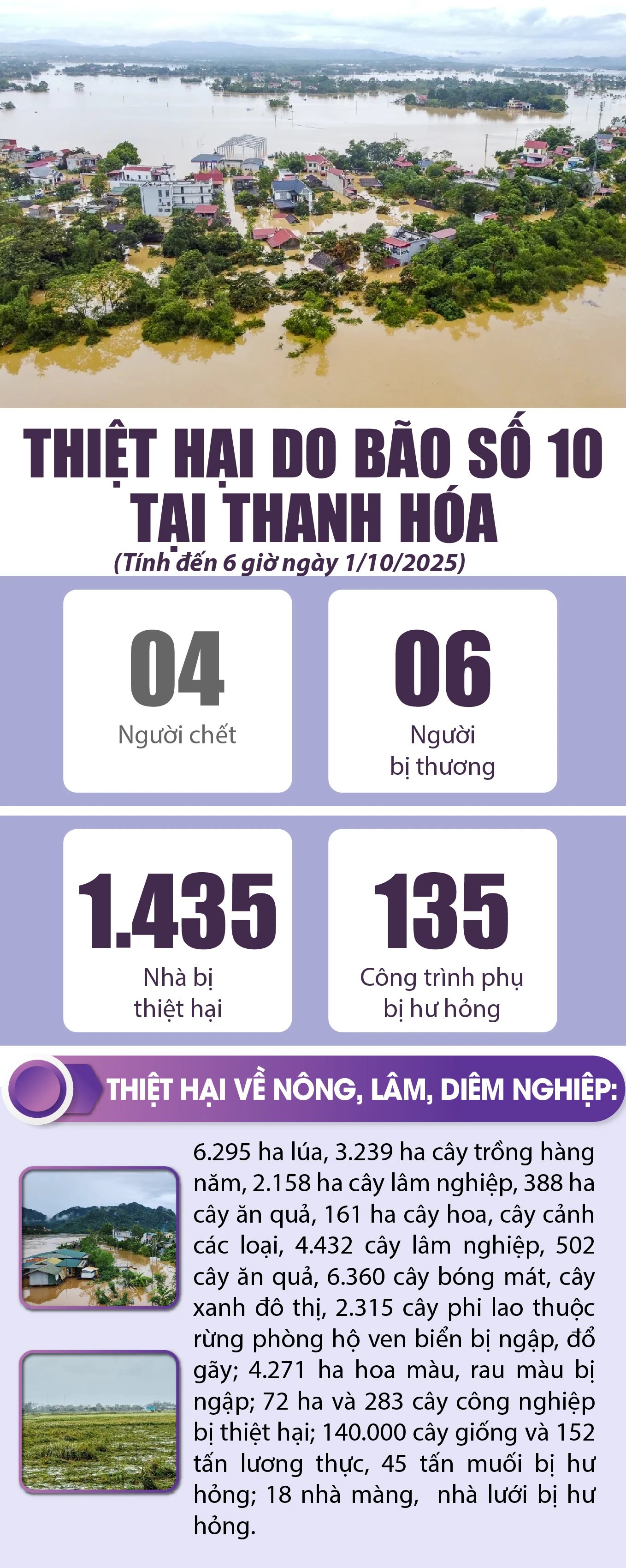 [Infographics] - Thiệt hại do bão số 10 tại Thanh Hóa