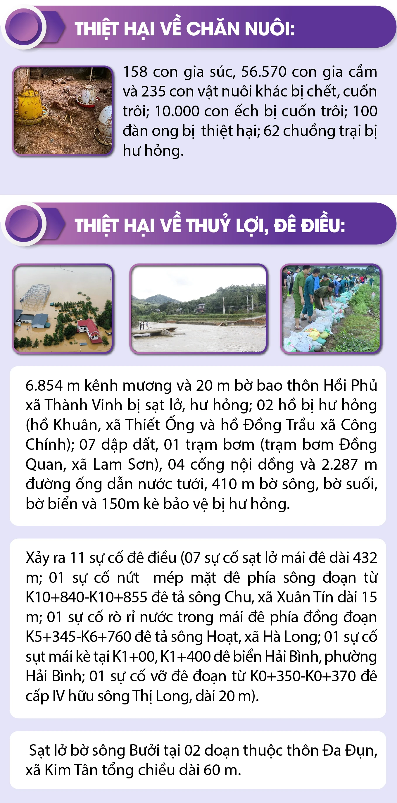 [Infographics] - Thiệt hại do bão số 10 tại Thanh Hóa