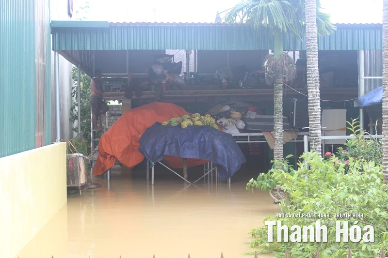 Hàng nghìn ngôi nhà ở phường Hàm Rồng ngập sâu trong nước