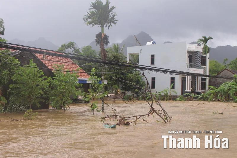 Phó Chủ tịch UBND tỉnh Mai Xuân Liêm kiểm tra, chỉ đạo khắc phục thiệt hại do bão số 10 gây ra