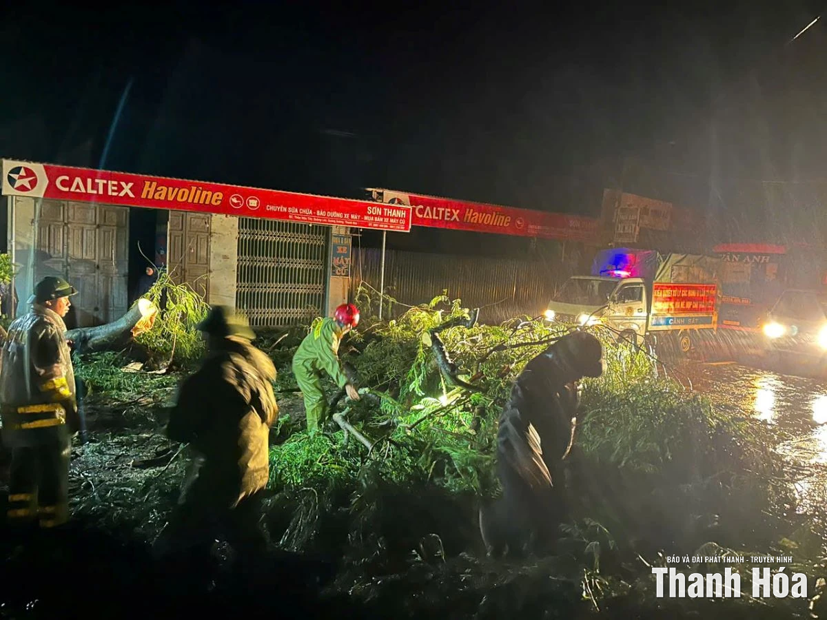 Cây xanh bị bật gốc, gãy đổ do ảnh hưởng của bão số 10