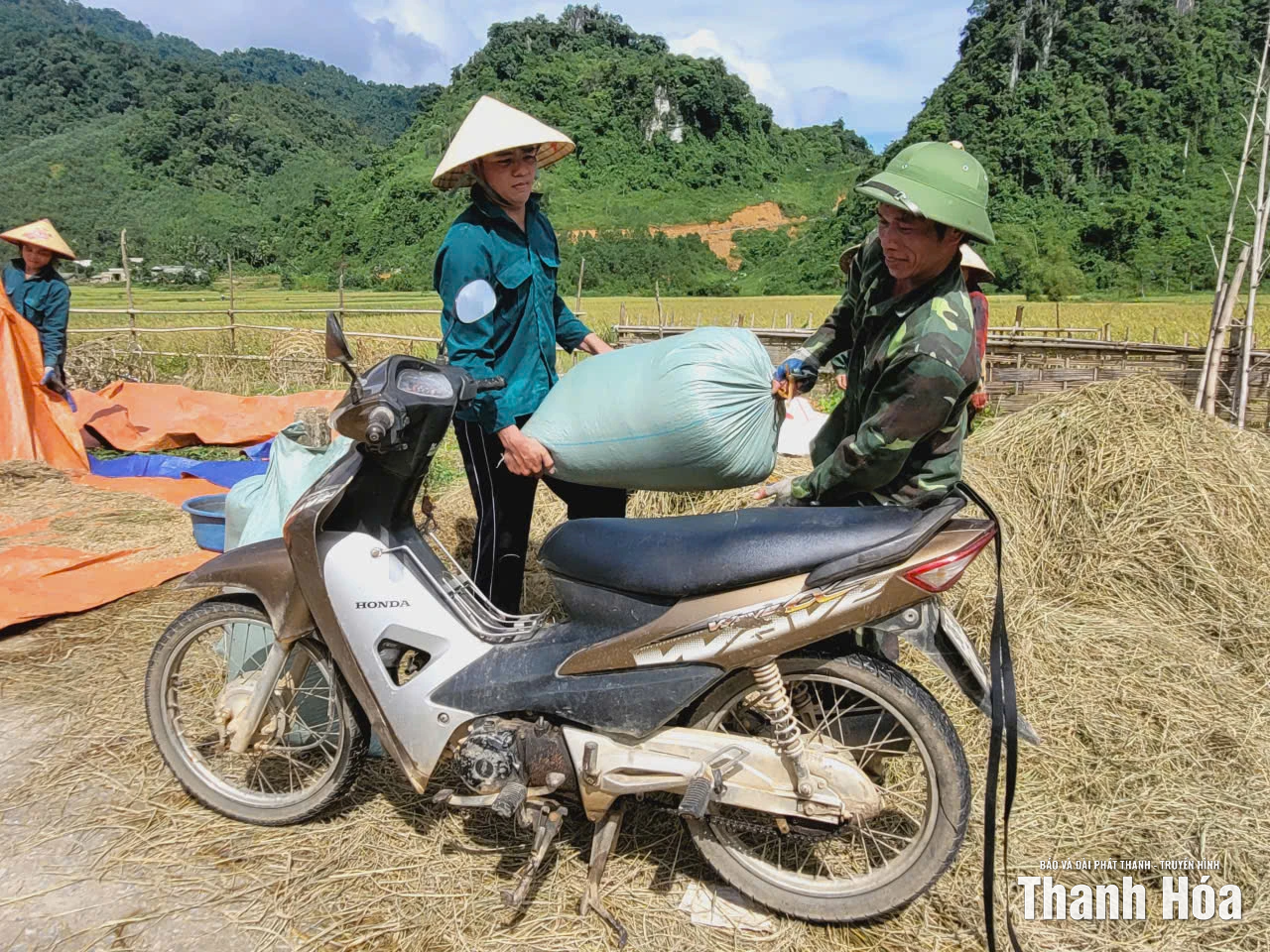 Nông dân xã Thanh Quân “cứu” lúa sau bão