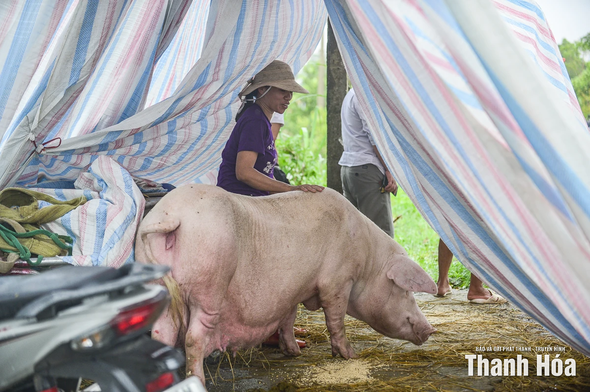 Lũ tràn về trong đêm, hàng trăm nhà dân xã Xuân Lập ngập trong nước