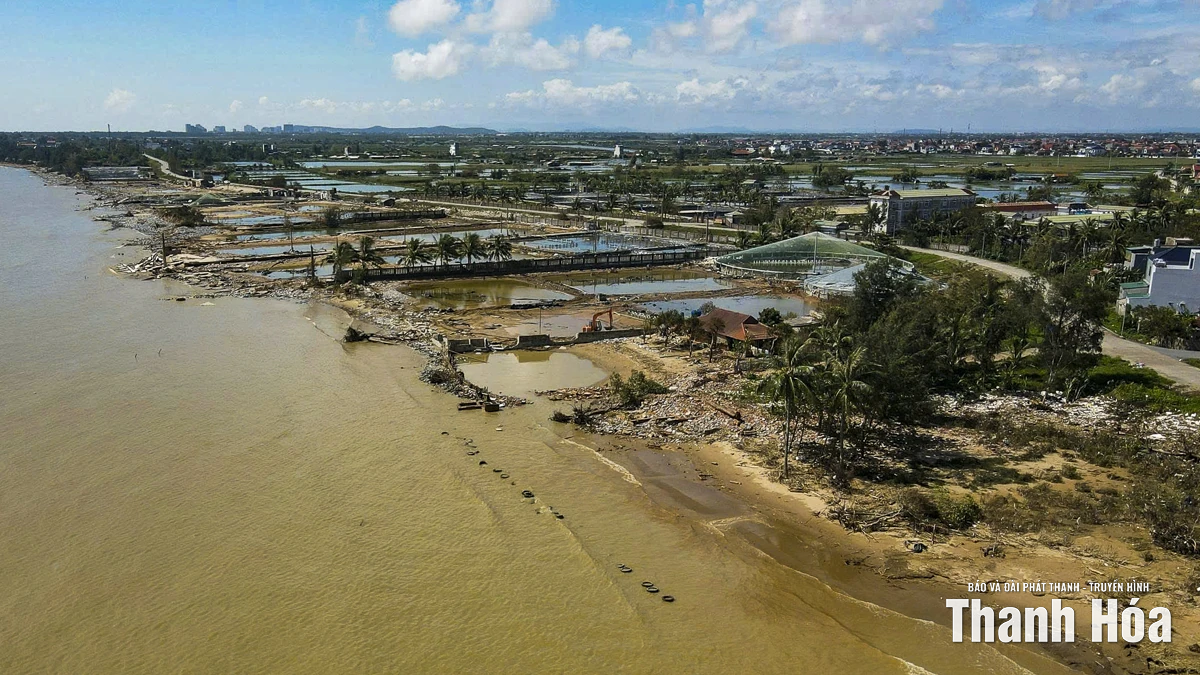 Nông dân nuôi tôm lao đao sau bão