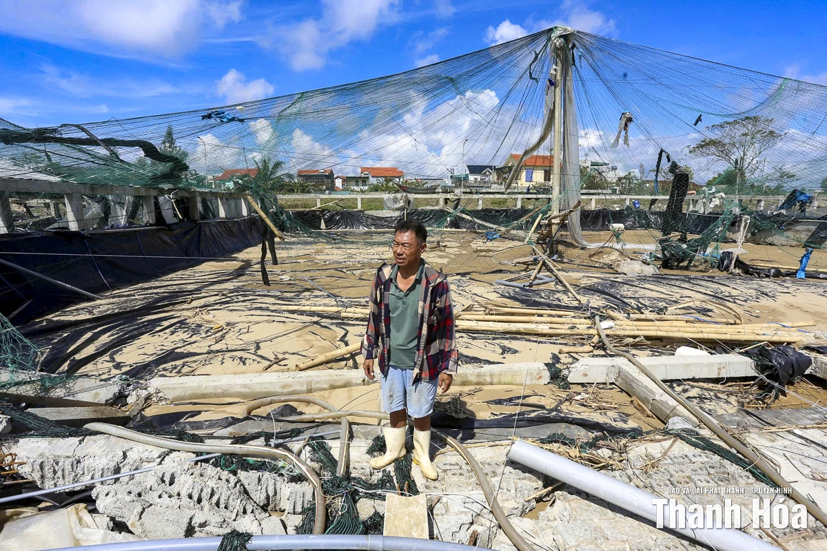 Nông dân nuôi tôm lao đao sau bão