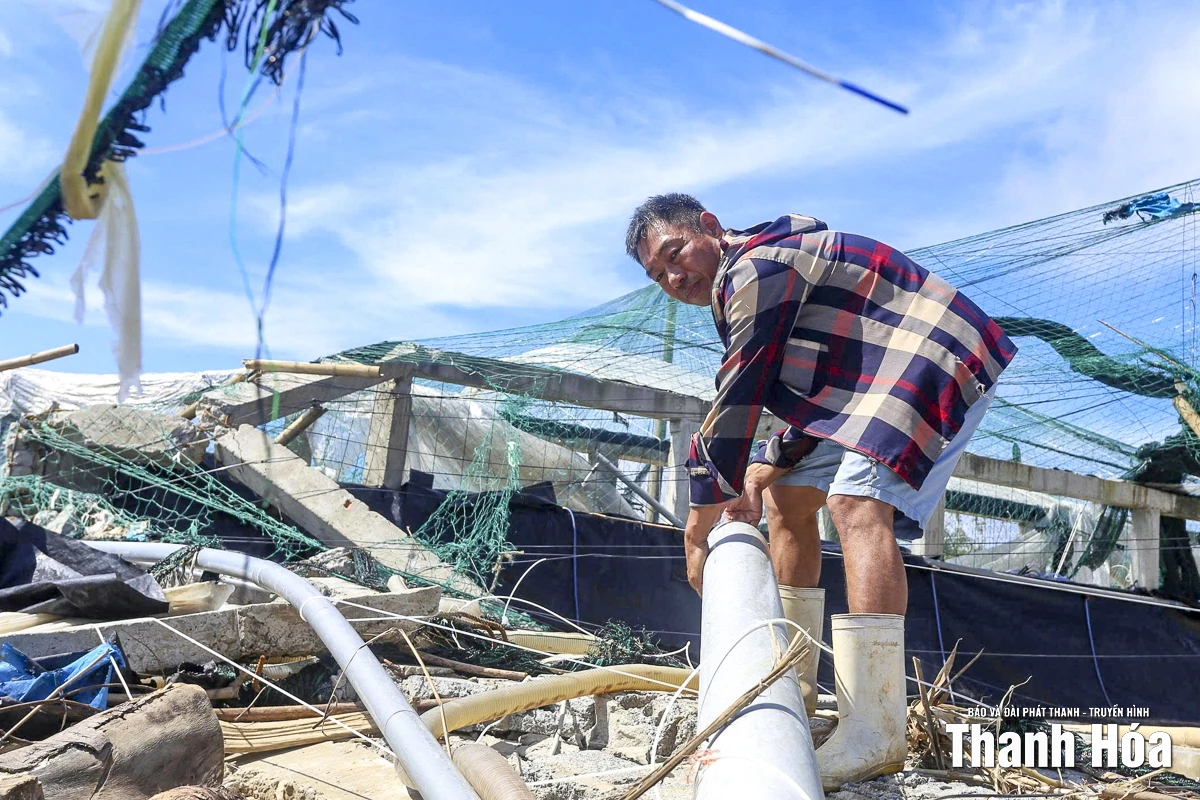 Nông dân nuôi tôm lao đao sau bão