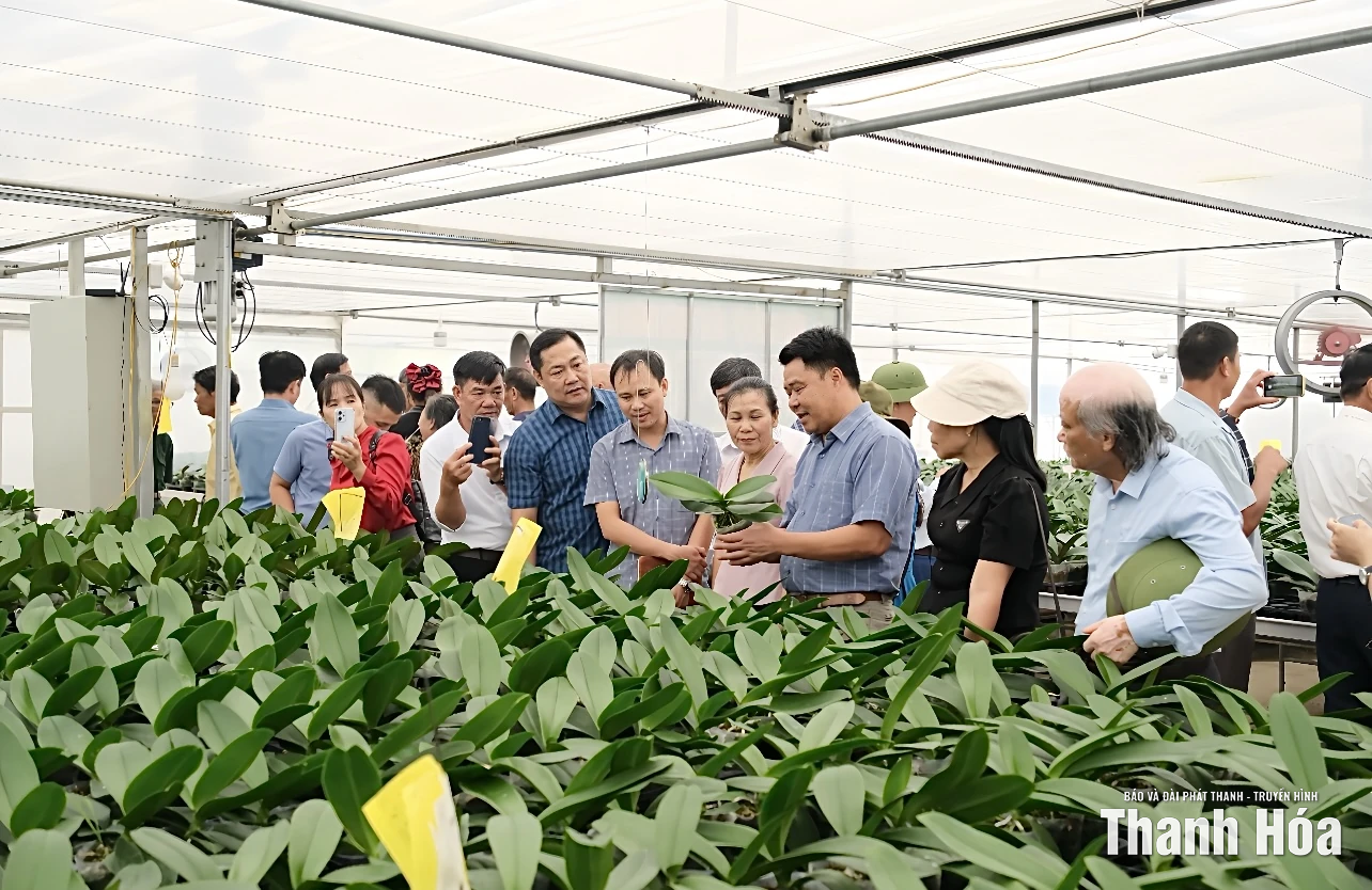 Hướng dẫn ứng dụng công nghệ cao trong quản trị và sản xuất, kinh doanh nông nghiệp