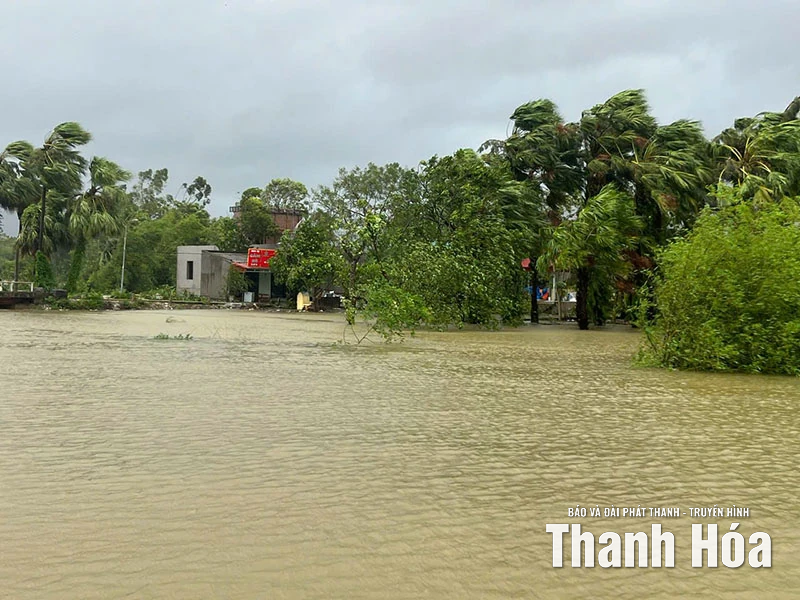 Phó Bí thư Thường trực Tỉnh ủy Nguyễn Hồng Phong kiểm tra các điểm đê xung yếu tại xã Triệu Sơn và Trung Chính