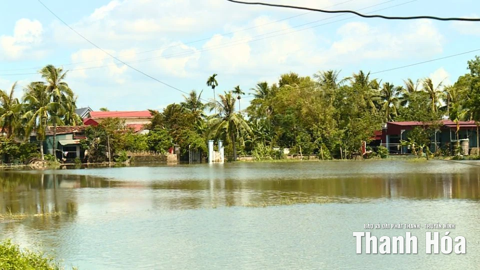 Quảng Ngọc: Nỗ lực đảm bảo an toàn, chăm lo đời sống người dân vùng ngập lụt