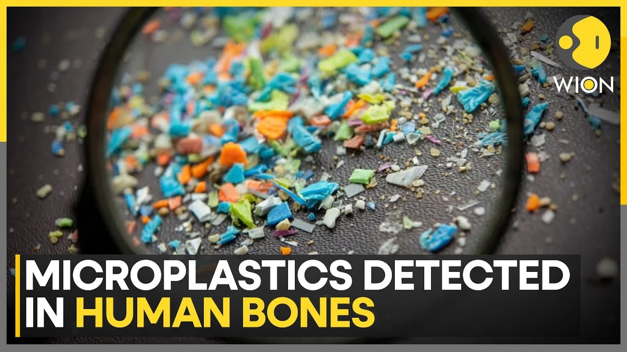 Phát hiện vi nhựa trong xương người gây lo ngại về sức khỏe
