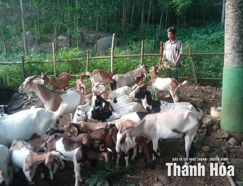 Phân công đảng viên giúp đỡ hộ nghèo vươn lên thoát nghèo