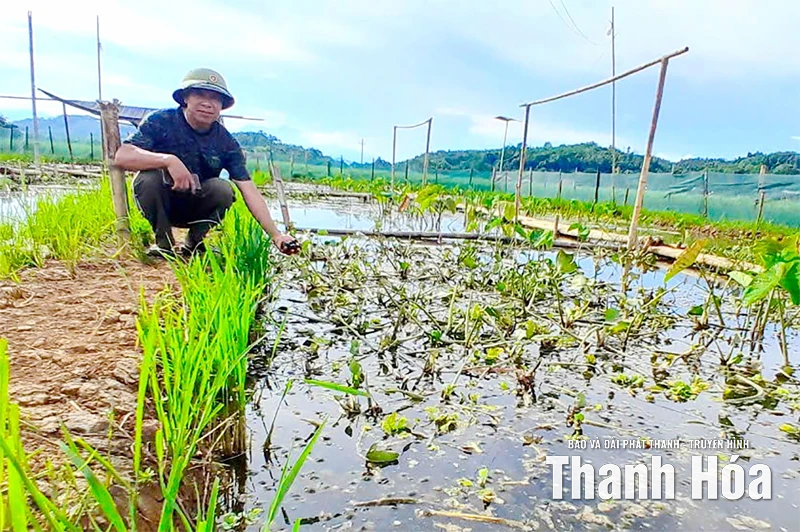 Nguyệt Ấn quan tâm tạo sinh kế cho người dân phát triển kinh tế