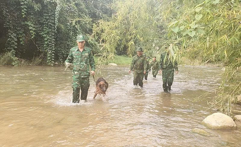 Phất cao cờ Quyết thắng hướng về Đại hội đại biểu Đảng bộ tỉnh lần thứ XX