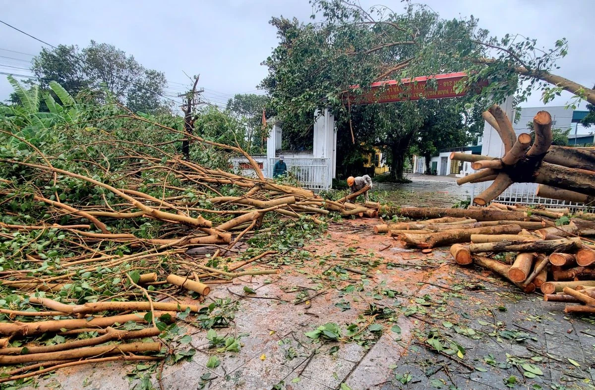 Khu di tích Quốc gia đặc biệt Đền Bà Triệu khẩn trương khắc phục hậu quả do mưa bão để đón khách trở lại
