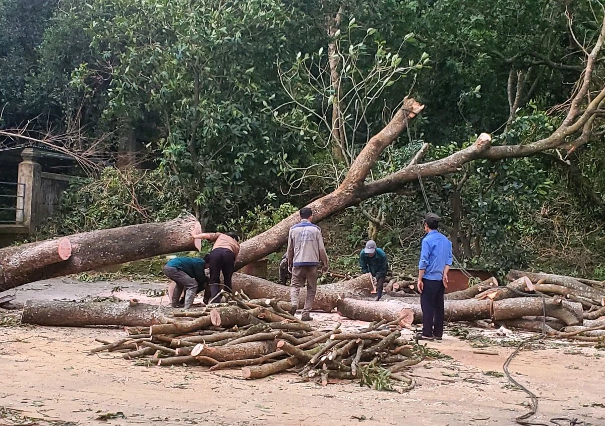 Khu di tích Quốc gia đặc biệt Đền Bà Triệu khẩn trương khắc phục hậu quả do mưa bão để đón khách trở lại