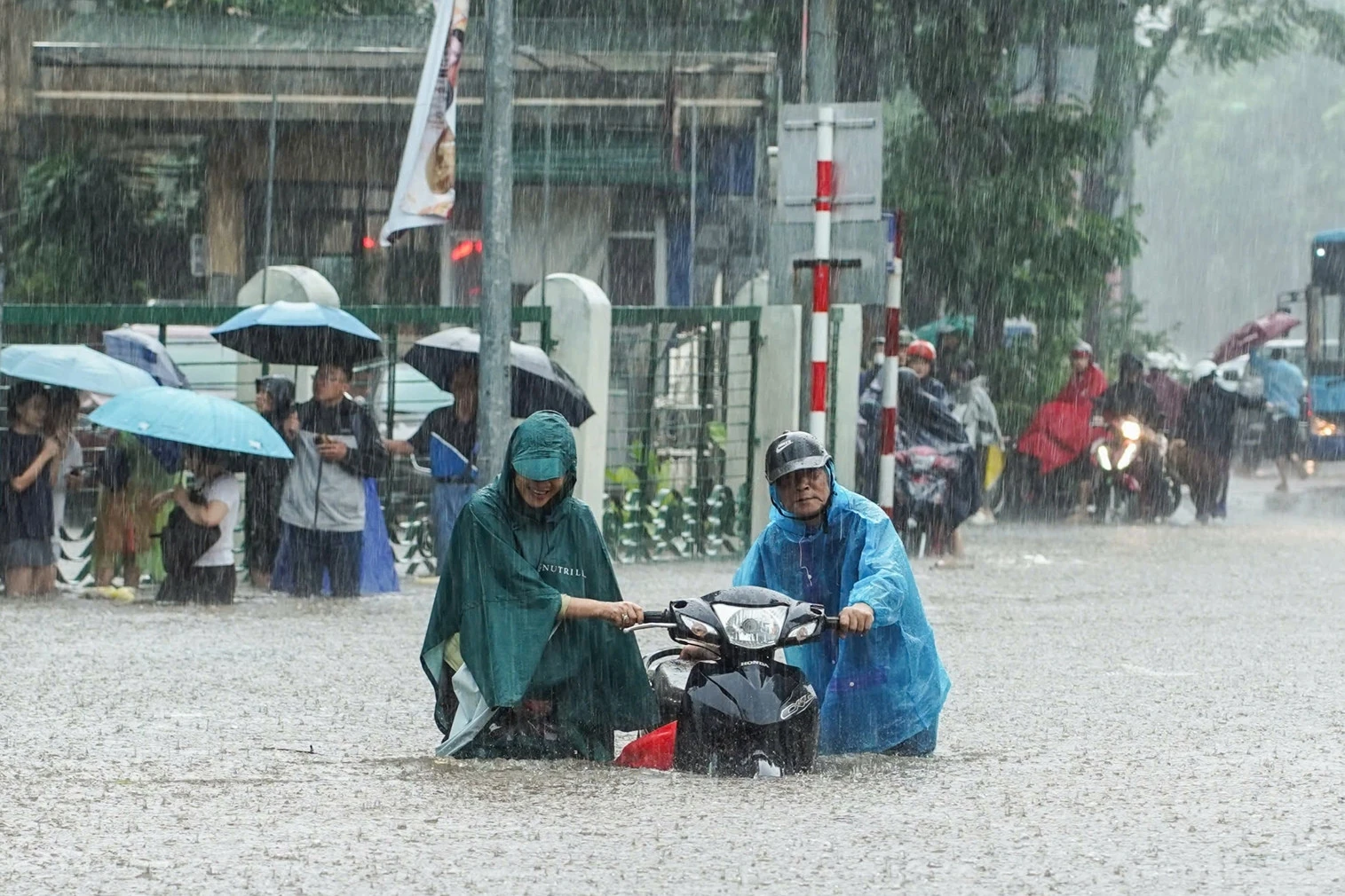 Thực hư tin có bão số 12 Hạ Long ngay sau bão số 11 (Matmo)