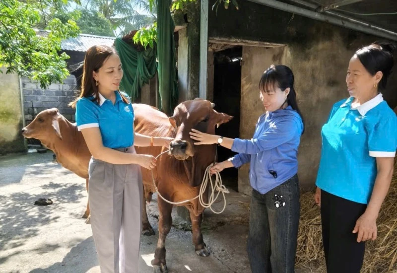 Nhiều hoạt động sôi nổi kỷ niệm 95 năm Ngày thành lập Hội LHPN Việt Nam