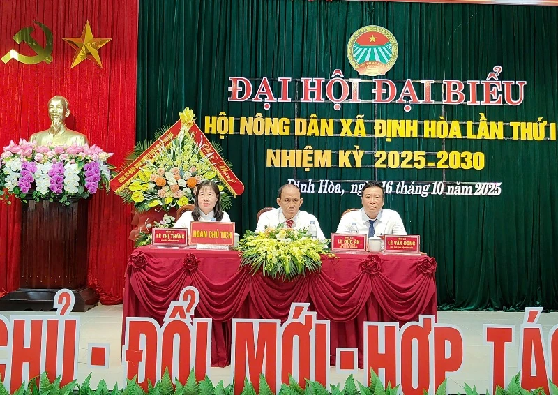 Đại hội đại biểu Hội Nông dân xã Định Hòa