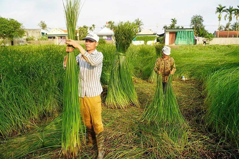 Tân Tiến đưa nghị quyết vào cuộc sống