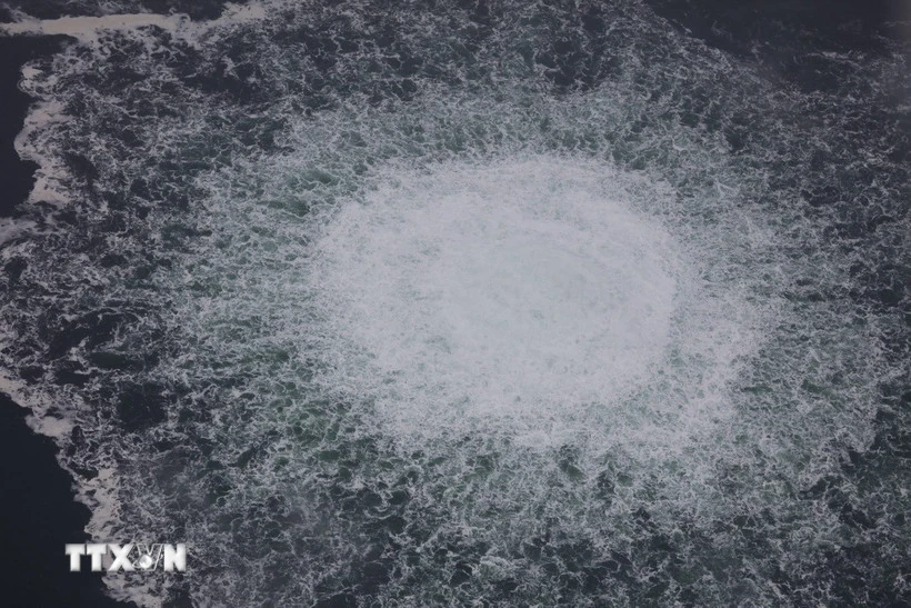 Tòa án Italy hủy quyết định dẫn độ nghi phạm phá đường ống Dòng chảy phương Bắc