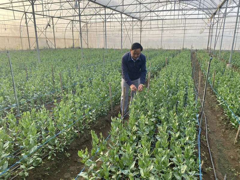 Chuyển đổi số trong nông nghiệp