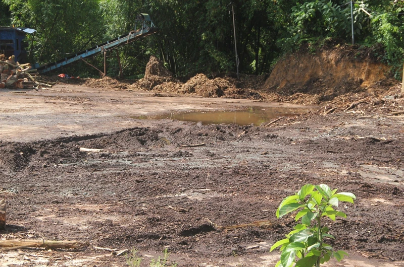 Bất cập xưởng chế biến gỗ keo ngay trong khu dân cư