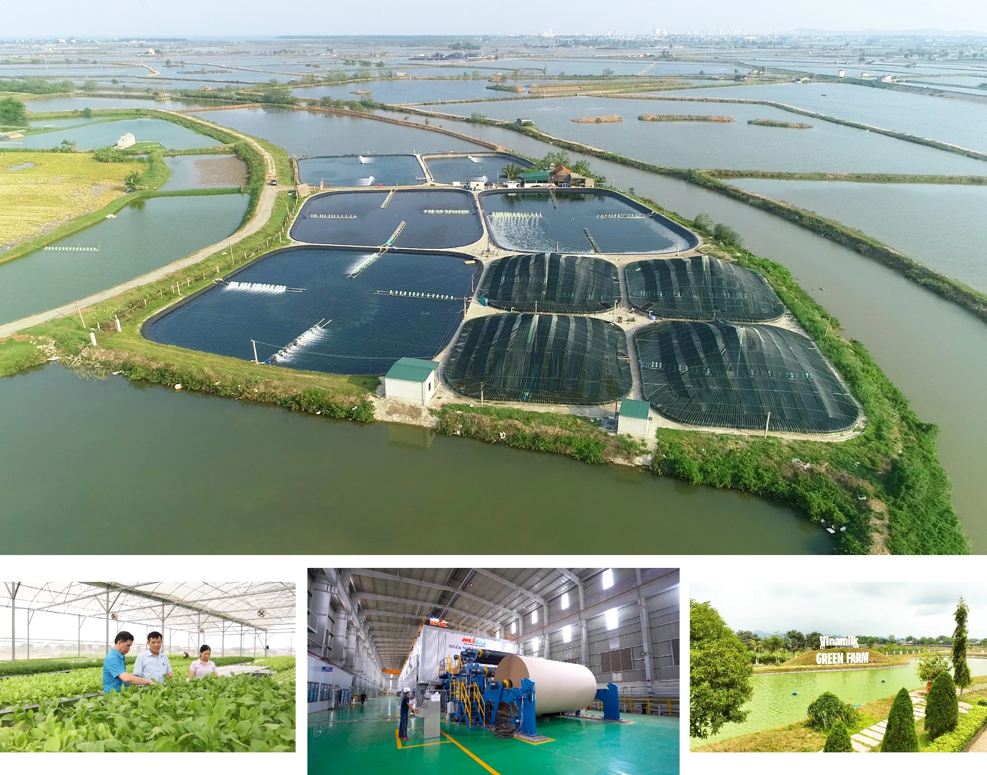 [E - Magazine] Thanh Hoá vượt qua thách thức