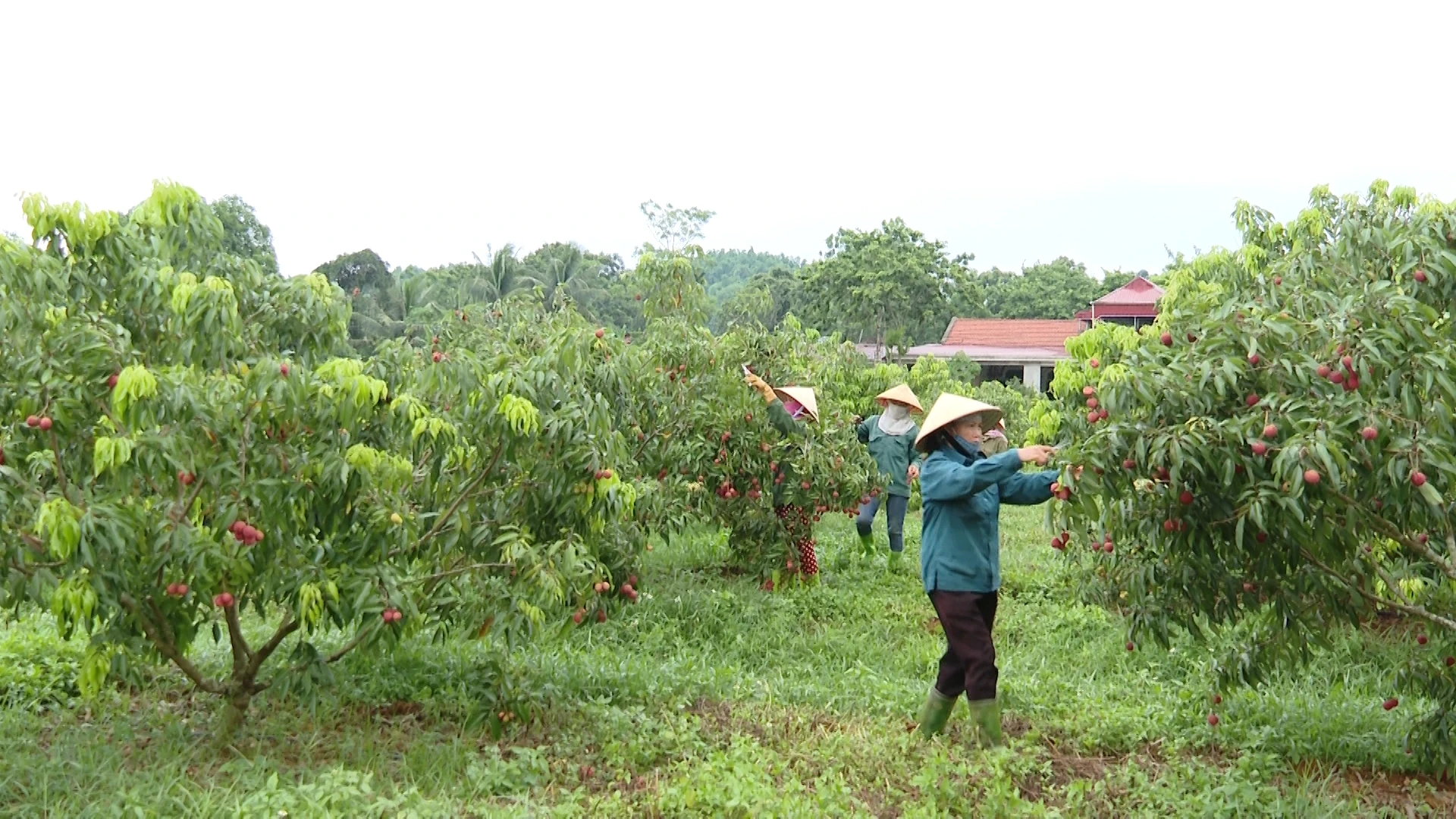 [E - Magazine] Thanh Hoá vượt qua thách thức