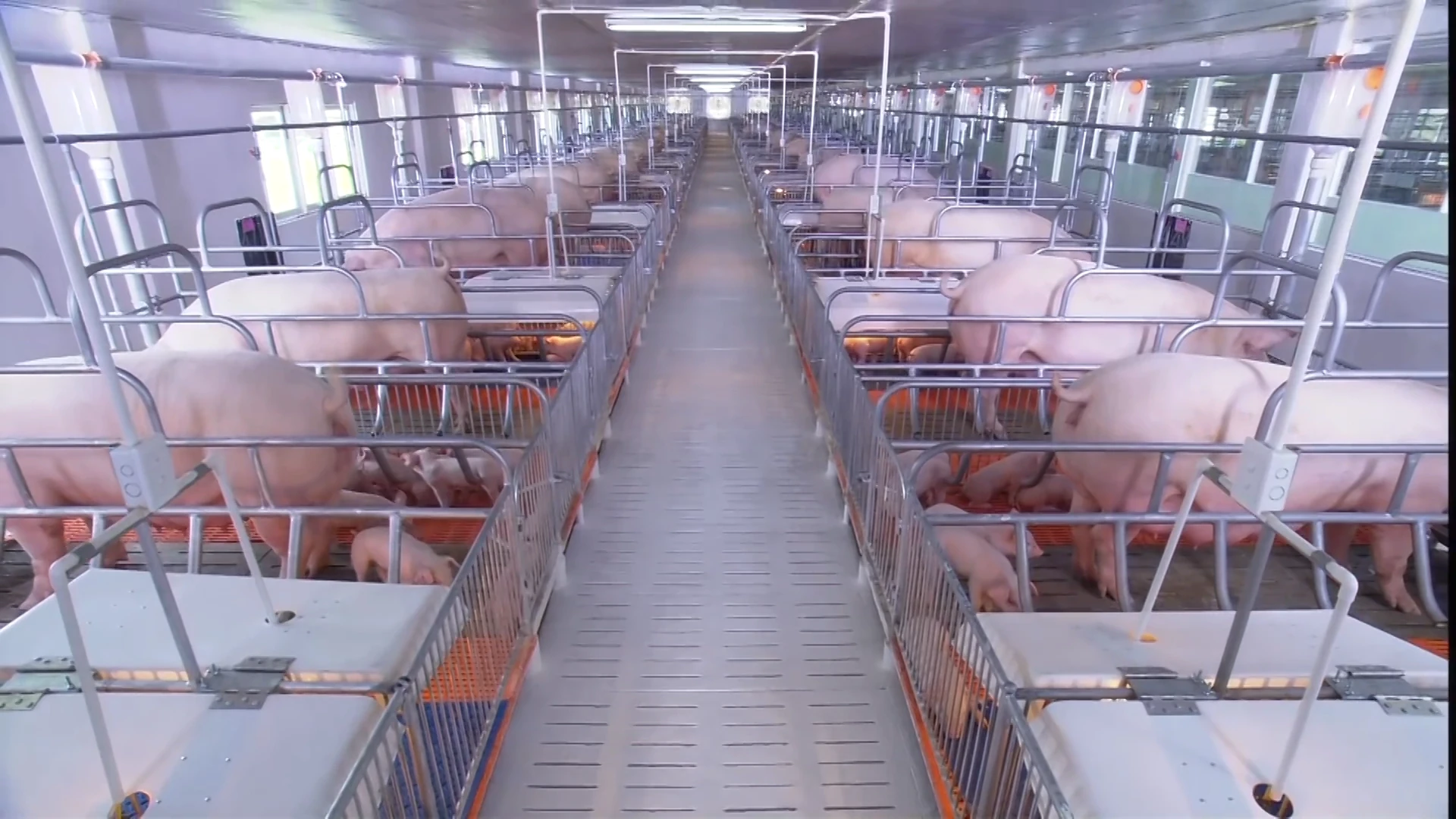 [E - Magazine] Thanh Hoá vượt qua thách thức