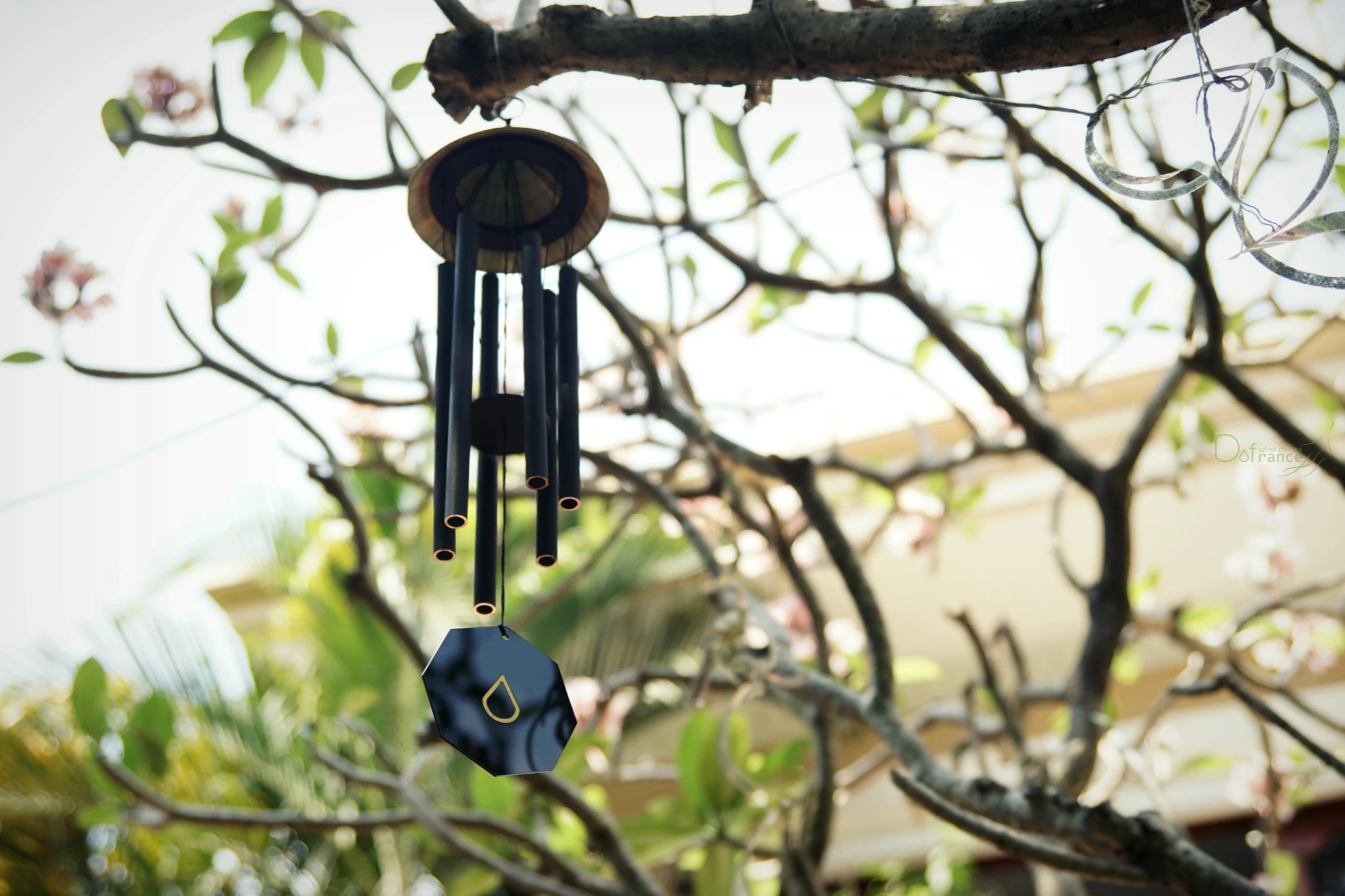 [E-Magazine]: Tiếng trúc vô vi